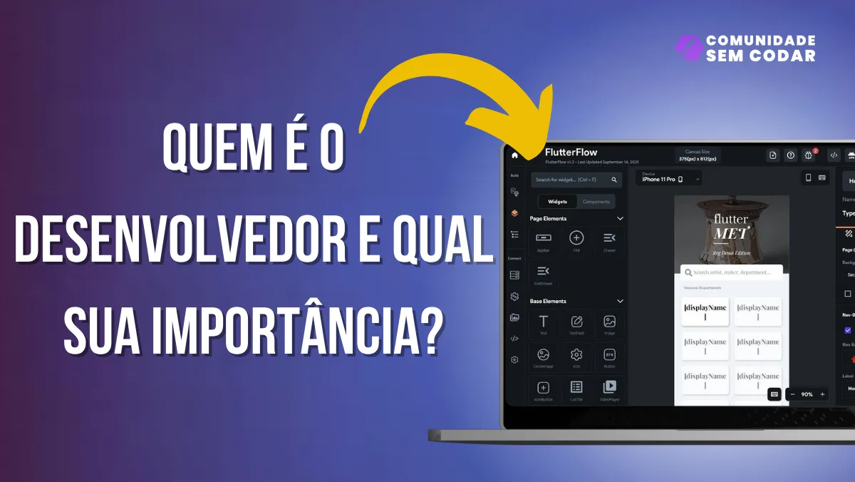 Quem é o Desenvolvedor e qual sua importância?