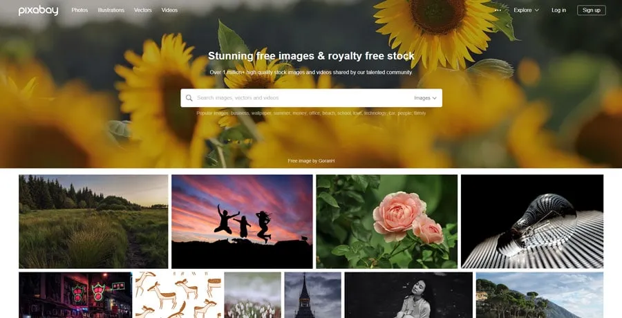 Imagem ilustrativa do Pixabay